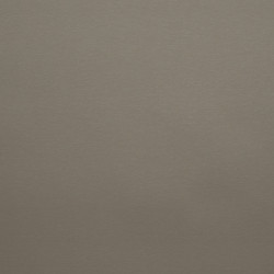 Image de détail du décor Metalmat Champagne (7057 PLUS)