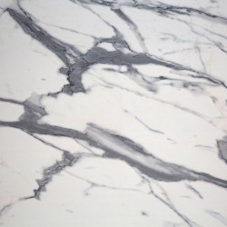 Image de détail du décor Statuario (7540 PLUS)