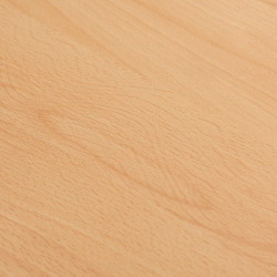 Image de détail du décor Hêtre Clair (770 C)