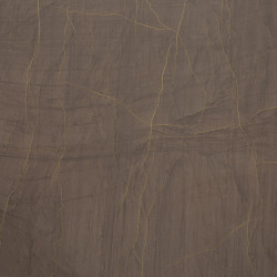 Image de détail du décor Veine d'Or (8070 PLUS)
