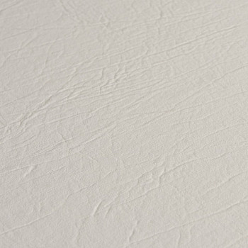 Image de détail du décor Blanc Ancien (900 CR)