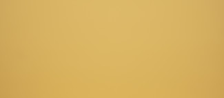 Produit Bouton d'Or (3170 SPA)